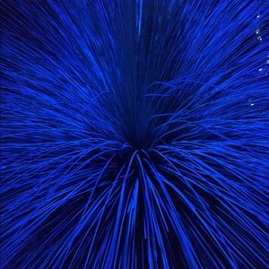 Meet your Posher, Marcia